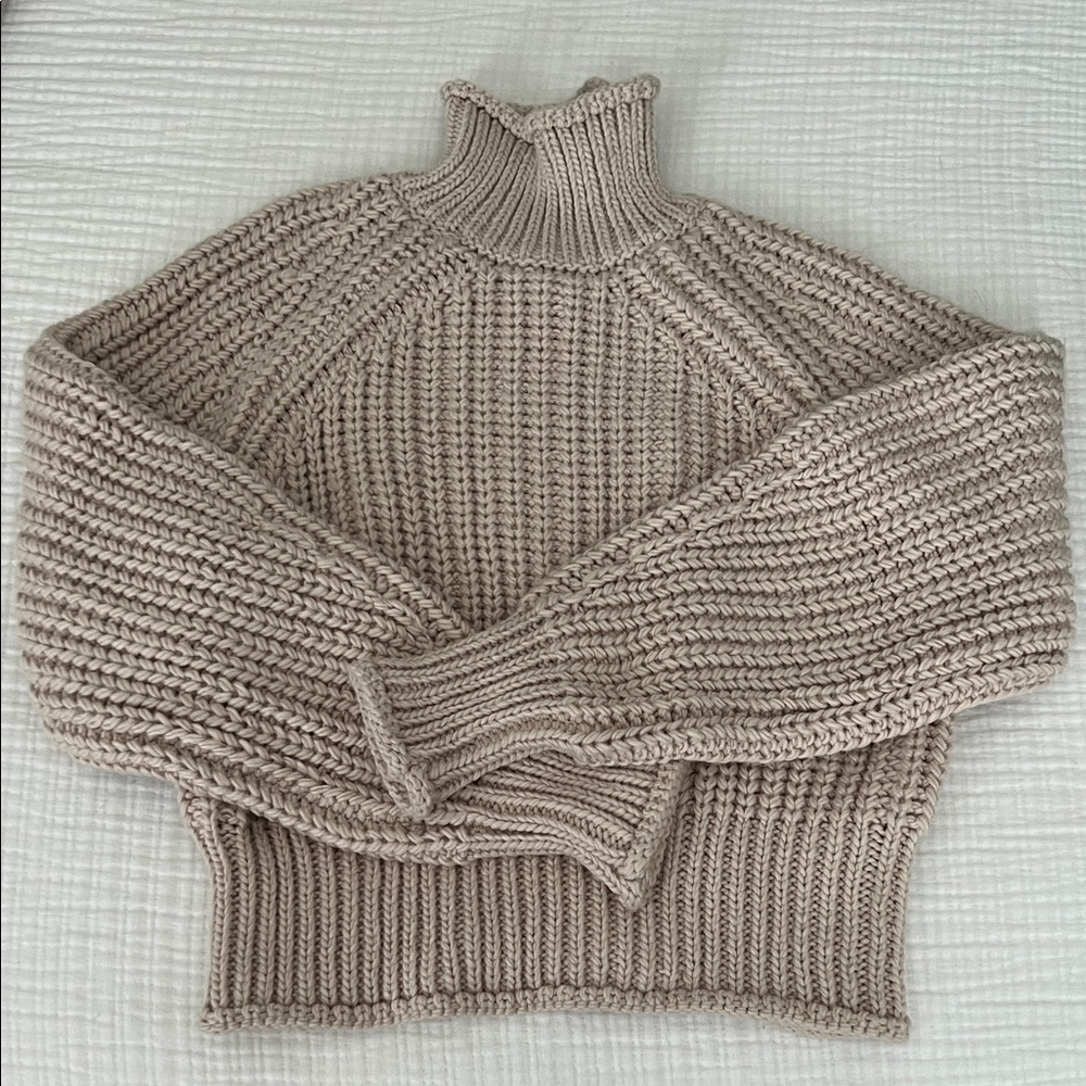 H&M Knit Turtleneck Sweater